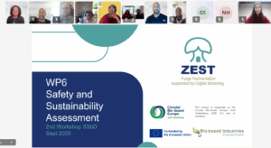 ZEST partners meet for an internal workshop on SSbD approaches
