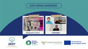 ZEST strengthens collaboration to accelerate innovation in alternative proteins